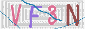 画像に表示された文字を入力して下さい