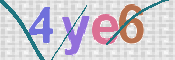 画像に表示された文字を入力して下さい