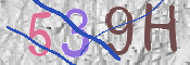 画像に表示された文字を入力して下さい
