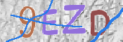 画像に表示された文字を入力して下さい