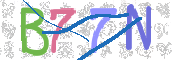 画像に表示された文字を入力して下さい