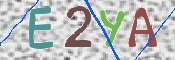 画像に表示された文字を入力して下さい