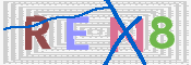 画像に表示された文字を入力して下さい