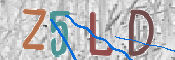 画像に表示された文字を入力して下さい