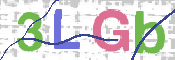 画像に表示された文字を入力して下さい