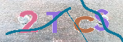 画像に表示された文字を入力して下さい