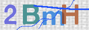 画像に表示された文字を入力して下さい