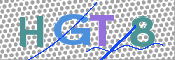 画像に表示された文字を入力して下さい