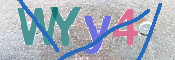 画像に表示された文字を入力して下さい