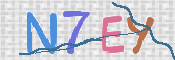 画像に表示された文字を入力して下さい