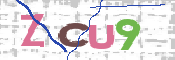 画像に表示された文字を入力して下さい