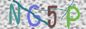 画像に表示された文字を入力して下さい