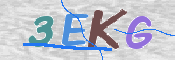 画像に表示された文字を入力して下さい