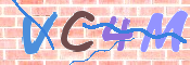 画像に表示された文字を入力して下さい