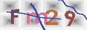 画像に表示された文字を入力して下さい