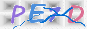 画像に表示された文字を入力して下さい