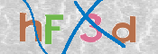 画像に表示された文字を入力して下さい