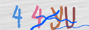 画像に表示された文字を入力して下さい