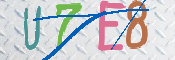 画像に表示された文字を入力して下さい