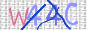 画像に表示された文字を入力して下さい