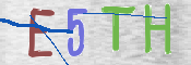 画像に表示された文字を入力して下さい