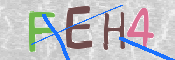 画像に表示された文字を入力して下さい