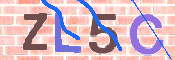 画像に表示された文字を入力して下さい