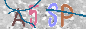 画像に表示された文字を入力して下さい
