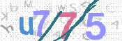 画像に表示された文字を入力して下さい