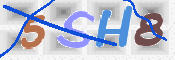 画像に表示された文字を入力して下さい