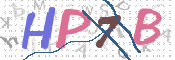 画像に表示された文字を入力して下さい