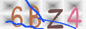 画像に表示された文字を入力して下さい