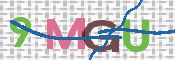 画像に表示された文字を入力して下さい