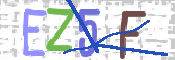 画像に表示された文字を入力して下さい