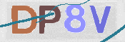 画像に表示された文字を入力して下さい