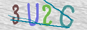 画像に表示された文字を入力して下さい