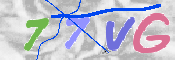 画像に表示された文字を入力して下さい