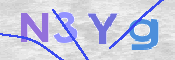 画像に表示された文字を入力して下さい