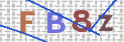画像に表示された文字を入力して下さい