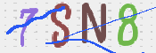 画像に表示された文字を入力して下さい