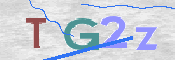 画像に表示された文字を入力して下さい