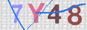 画像に表示された文字を入力して下さい