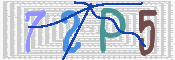 画像に表示された文字を入力して下さい