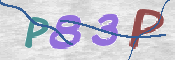 画像に表示された文字を入力して下さい