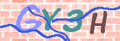 画像に表示された文字を入力して下さい