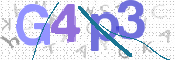 画像に表示された文字を入力して下さい