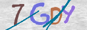 画像に表示された文字を入力して下さい