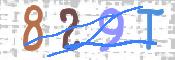 画像に表示された文字を入力して下さい