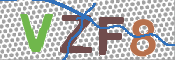 画像に表示された文字を入力して下さい