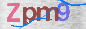 画像に表示された文字を入力して下さい
